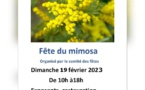 Le 19/2/2023, fête du mimosa à St Jean le Thomas