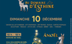 Le 10/12/2023, marché féérique au domaine d'Esthine