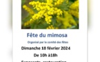 Le 18/2/2024, Fête du Mimosa à Saint Jean le Thomas Le 18/2/2024, Fête du Mimosa à Saint Jean le Thomas