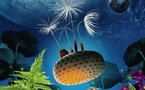 Le 25/4/2026, 17h, film à Carolles : PLANETES