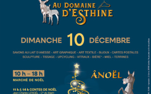 Le 10/12/2023, marché féérique au domaine d'Esthine
