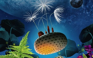 Le 25/4/2026, 17h, film à Carolles : PLANETES