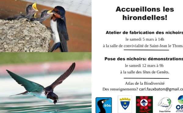 Les 5 et 12/3/2022, accueillons les hirondelles