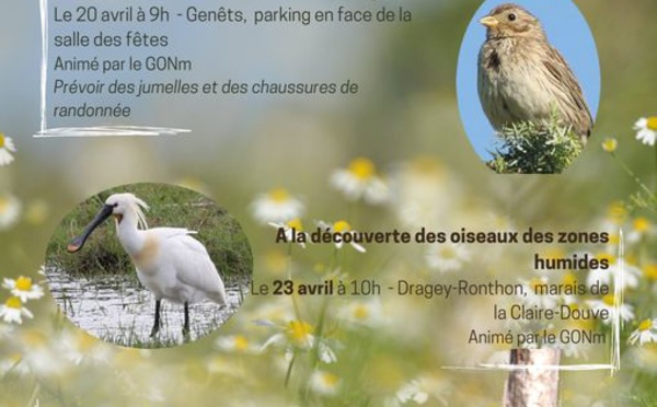 Les 20, 23, 29/4/2022 Biodiversité du bocage à la Claire Douve