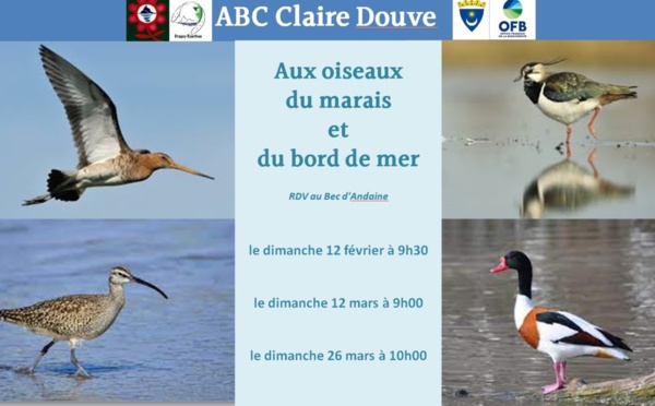 Les 12 et 26/3/2023, les oiseaux du marais et des bords de mer