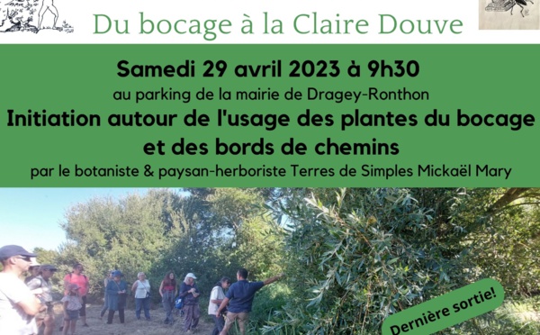 Le 29/4/2023, 9h30 à Dragey, usage des plantes sauvages